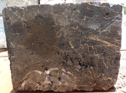 Classic Coral Saw Cut