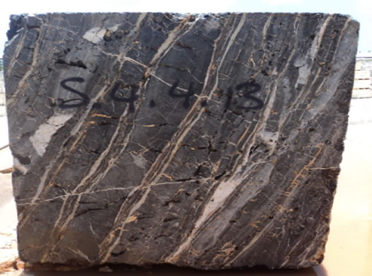 Colonial Coral Saw Cut