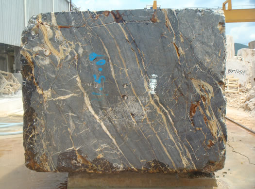 Colonial Coral Saw Cut