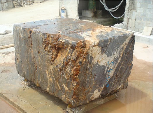 Golden Coral Saw Cut