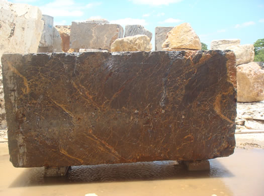 Classic Coral Saw Cut