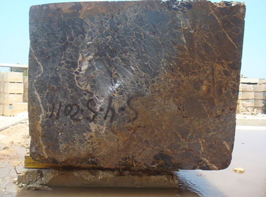 Colonial Coral Saw Cut