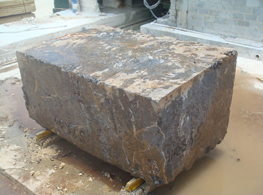 Golden Coral Saw Cut