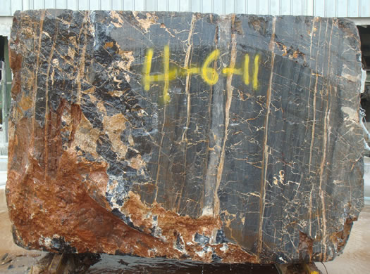 Classic Coral Filled Brushed