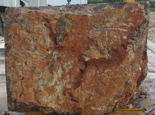 Classic Coral Saw Cut