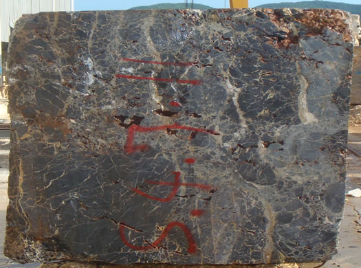 Classic Coral Saw Cut