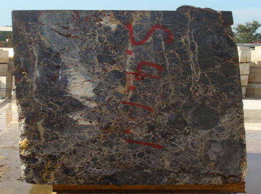 Colonial Coral Saw Cut