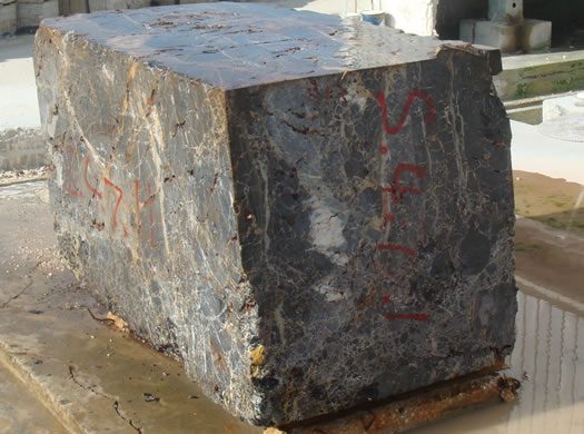 Golden Coral Saw Cut