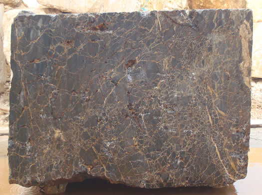 Classic Coral Filled Brushed