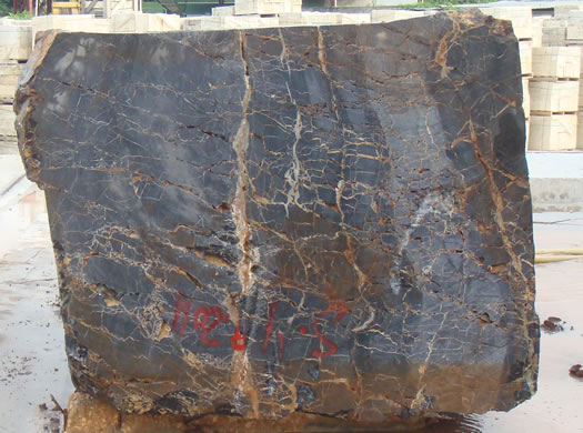 Classic Coral Saw Cut