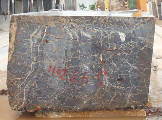 Colonial Coral Saw Cut