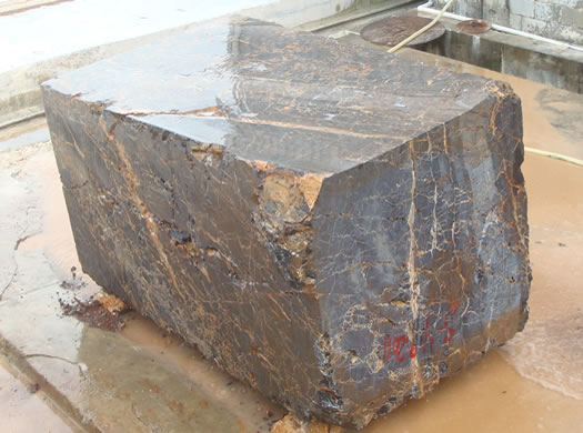 Golden Coral Saw Cut