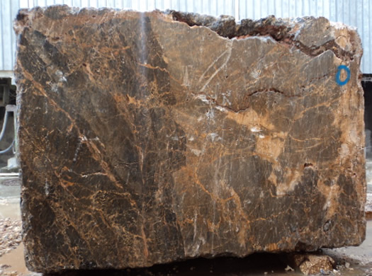 Classic Coral Filled Brushed