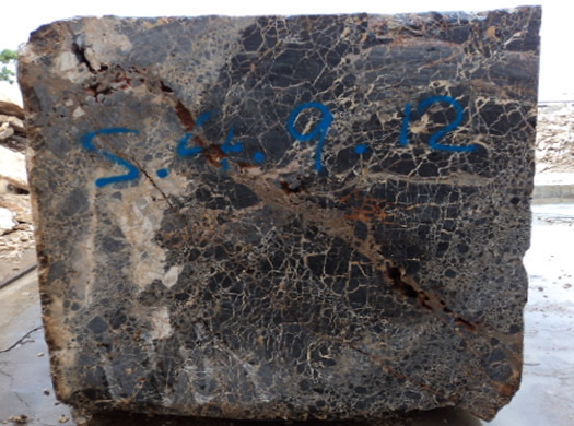 Colonial Coral Saw Cut