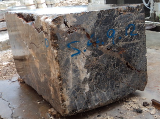 Golden Coral Saw Cut