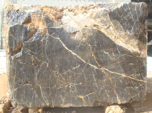 Classic Coral Filled Brushed