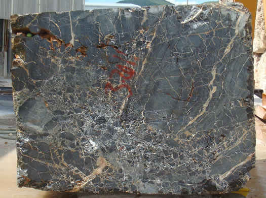 Classic Coral Saw Cut