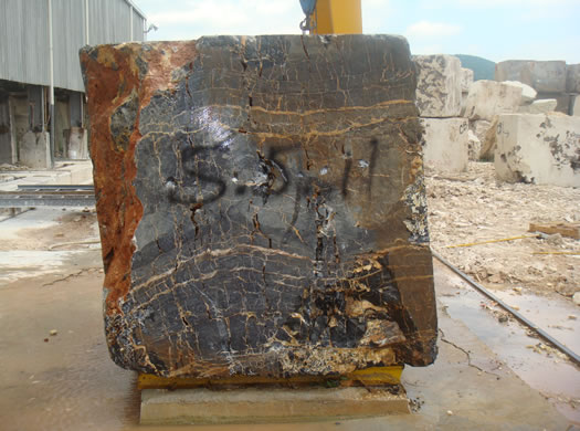 Classic Coral Saw Cut