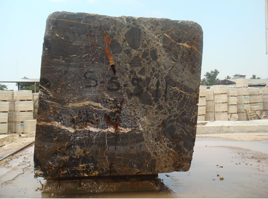 Colonial Coral Saw Cut