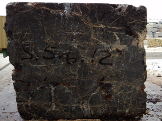 Classic Coral Filled Brushed