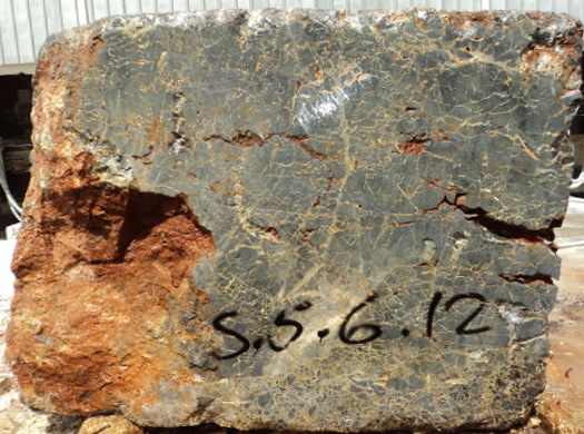 Classic Coral Saw Cut