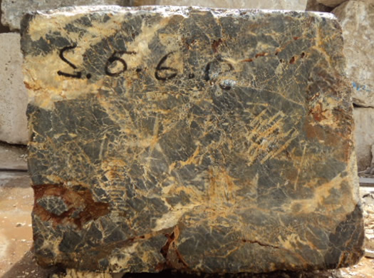 Colonial Coral Saw Cut