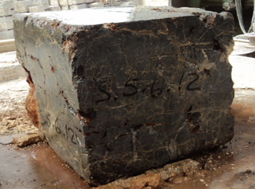 Golden Coral Saw Cut