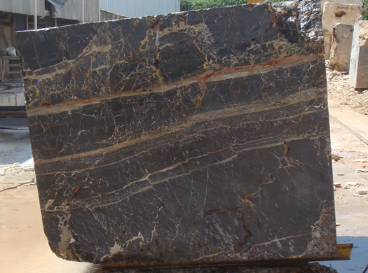 Classic Coral Saw Cut