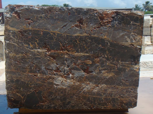 Colonial Coral Saw Cut