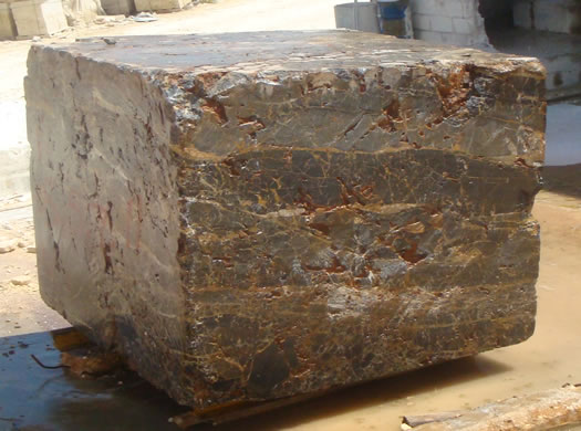 Golden Coral Saw Cut