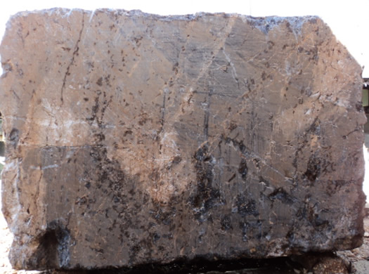 Classic Coral Filled Brushed