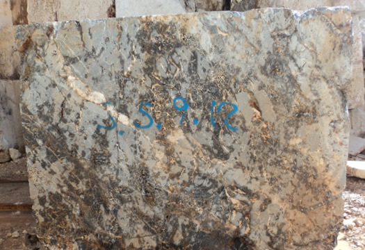 Classic Coral Saw Cut