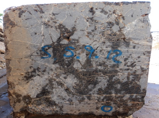 Colonial Coral Saw Cut