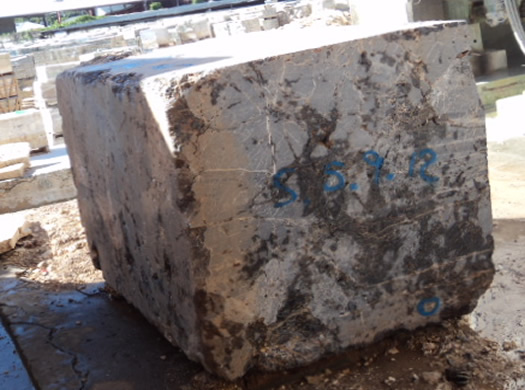 Golden Coral Saw Cut