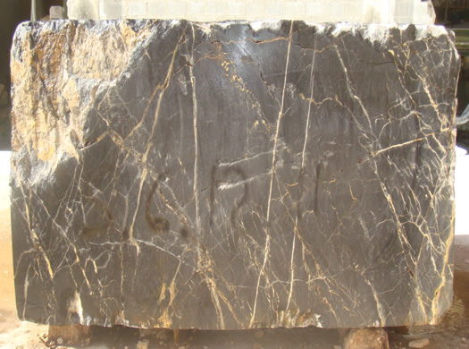 Classic Coral Filled Brushed