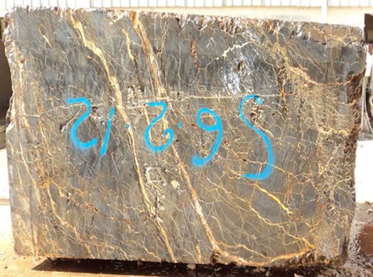 Classic Coral Filled Brushed