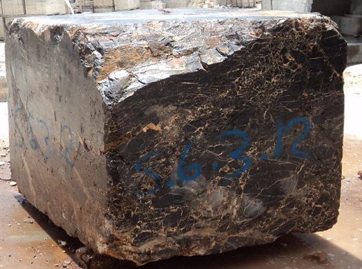 Golden Coral Saw Cut