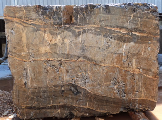 Classic Coral Filled Brushed