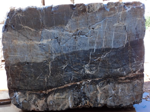 Classic Coral Saw Cut