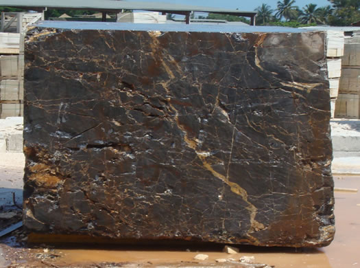 Classic Coral Saw Cut