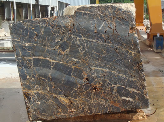 Classic Coral Saw Cut