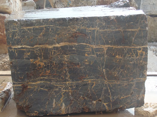 Colonial Coral Saw Cut