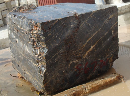 Golden Coral Saw Cut