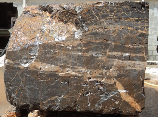 Classic Coral Filled Brushed