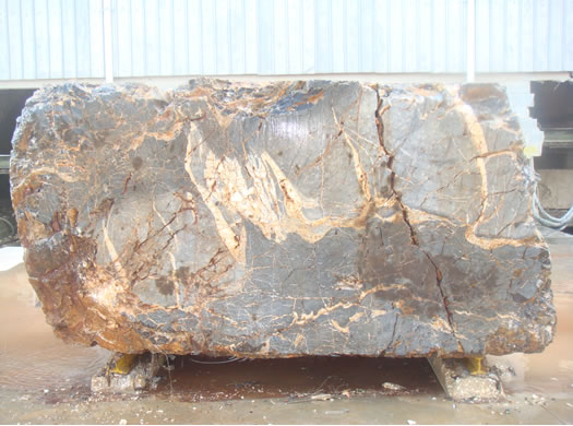 Classic Coral Filled Brushed