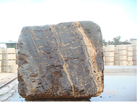 Colonial Coral Saw Cut