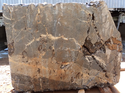 Classic Coral Filled Brushed