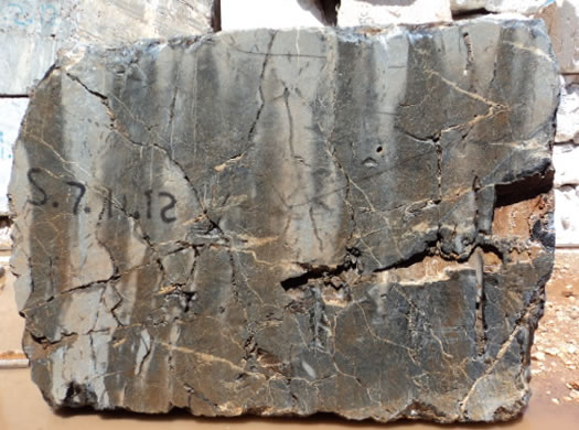 Classic Coral Saw Cut