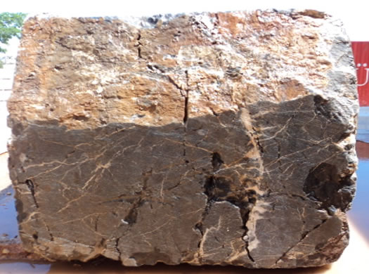 Colonial Coral Saw Cut