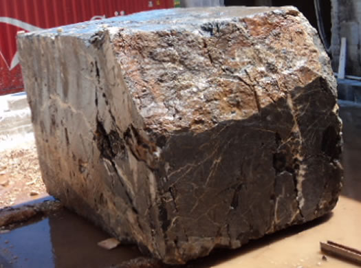 Golden Coral Saw Cut